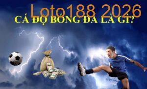 Nghiên cứu về thuật ngữ cá độ bóng đá