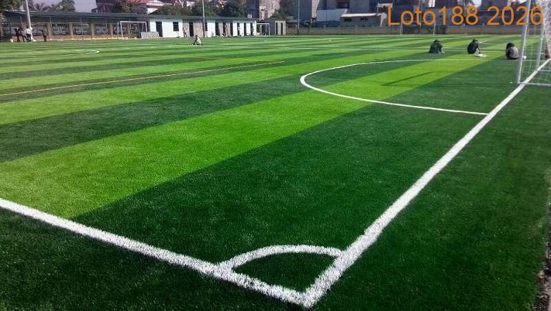 Cung đá phạt góc